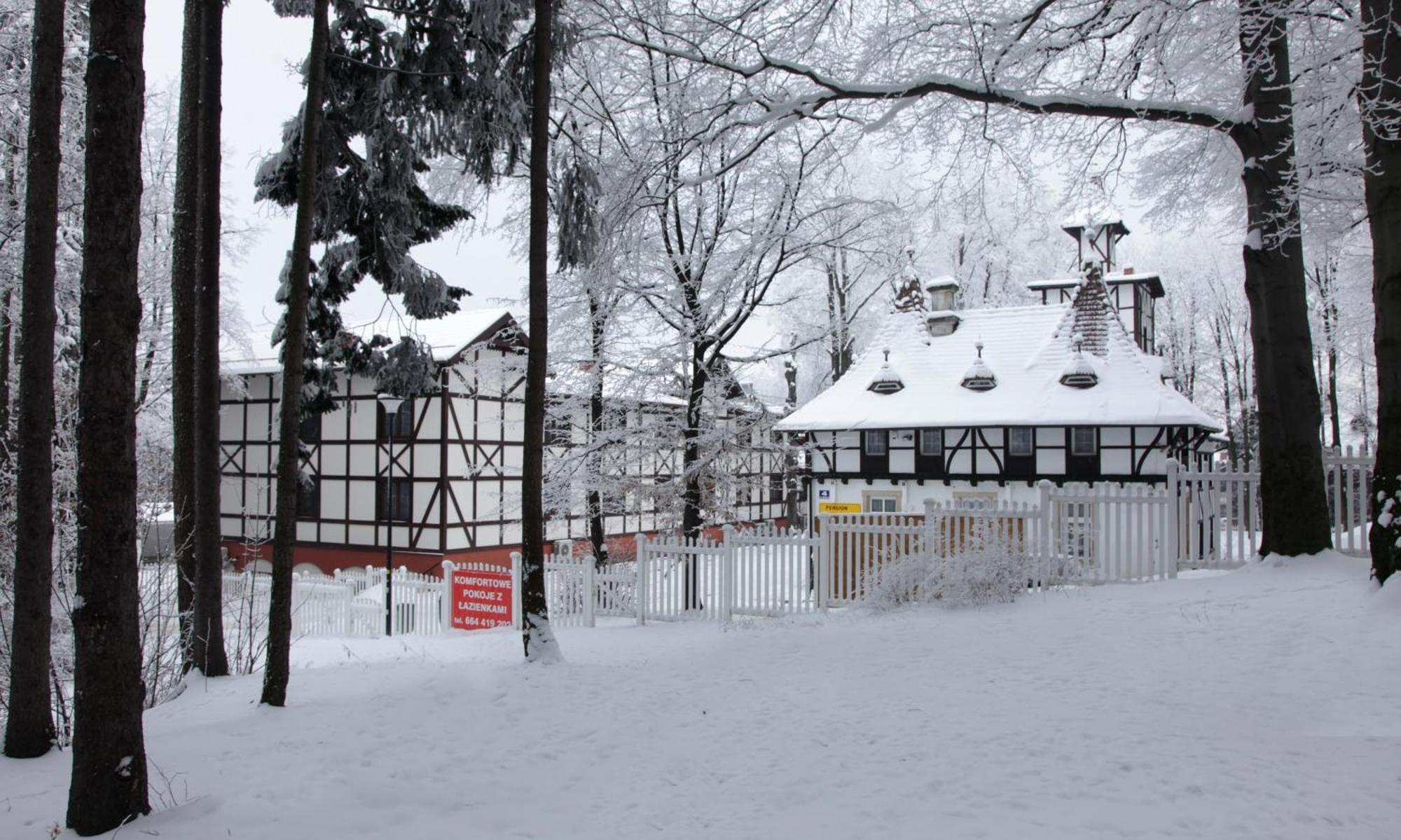 Bukowy Dworek Szczawno-Zdroj Extérieur photo