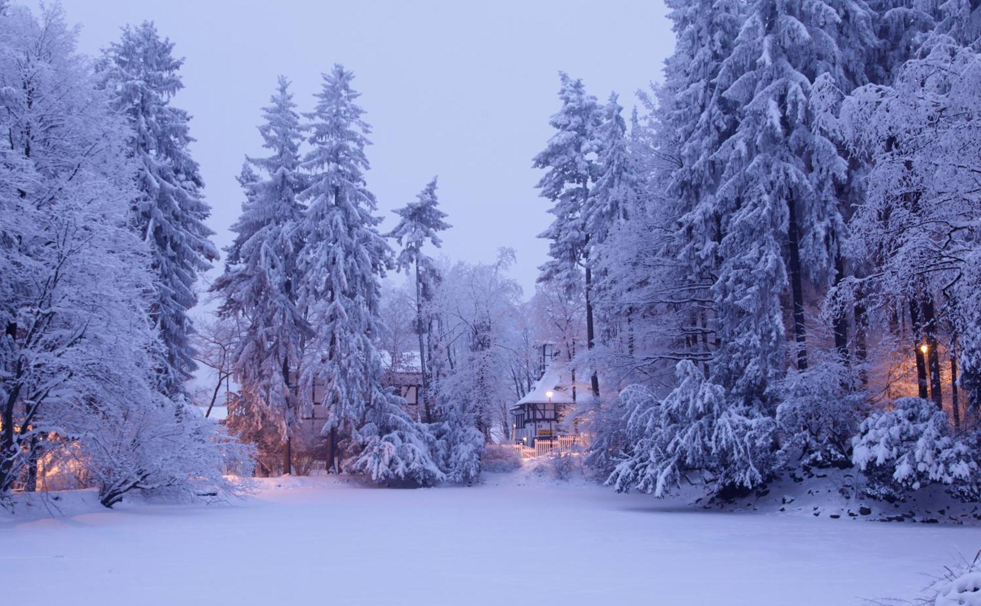 Bukowy Dworek Szczawno-Zdroj Extérieur photo