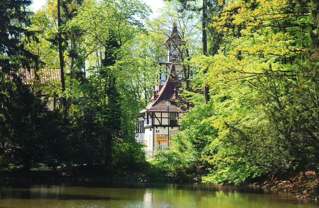 Bukowy Dworek Szczawno-Zdroj Extérieur photo