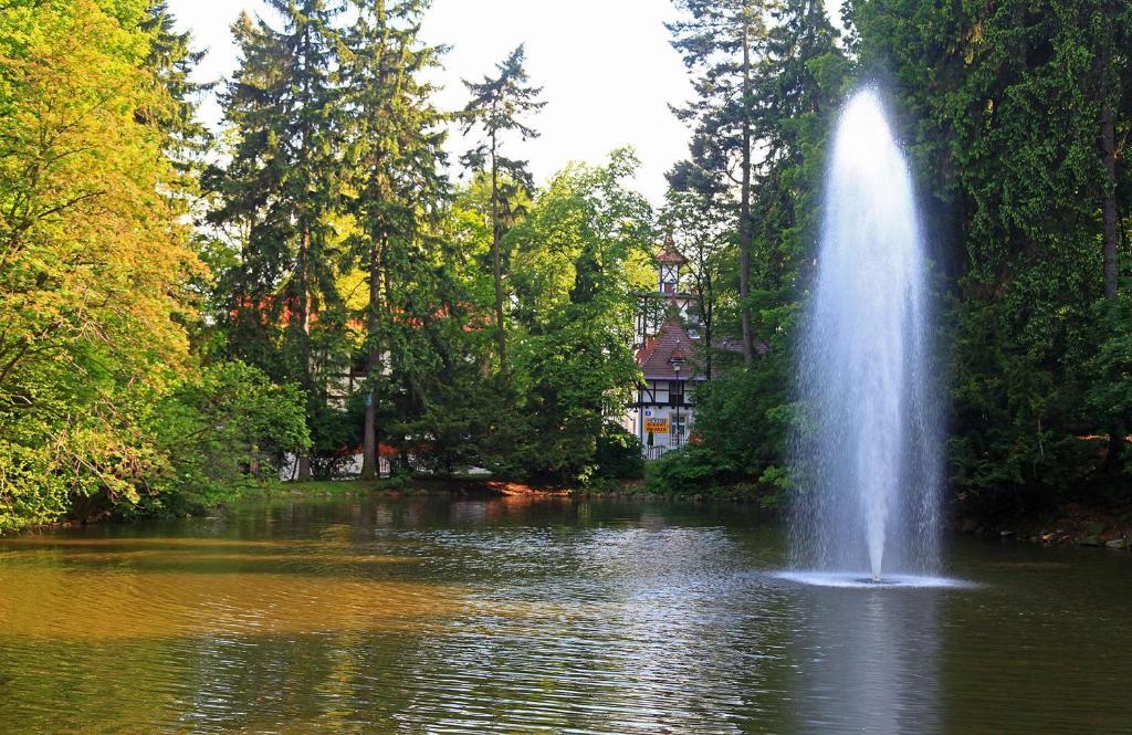 Bukowy Dworek Szczawno-Zdroj Extérieur photo